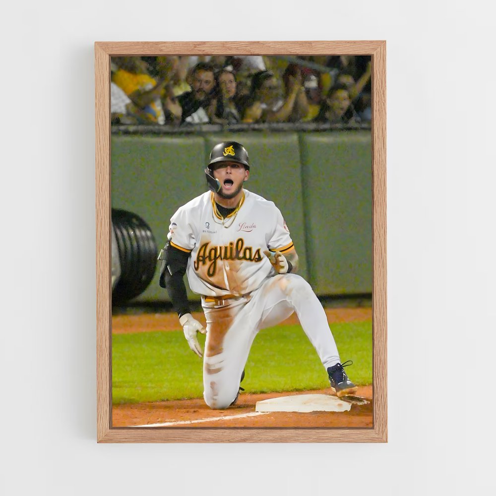 Poster La Glorieuse Élite – affiche Baseball (vue 4)